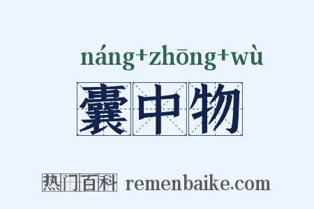 囊中物是什么意思的图片